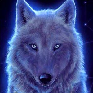 Meet your Posher, Deb